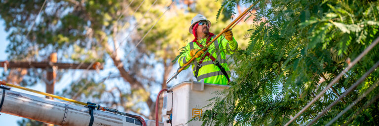 trabajador podando arbol , puerto iguazú
