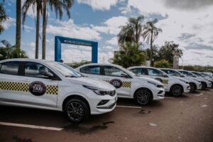 Proyecto de Regularización del Transporte Público en Puerto Iguazú: Orden, Transparencia y Trabajo Justo