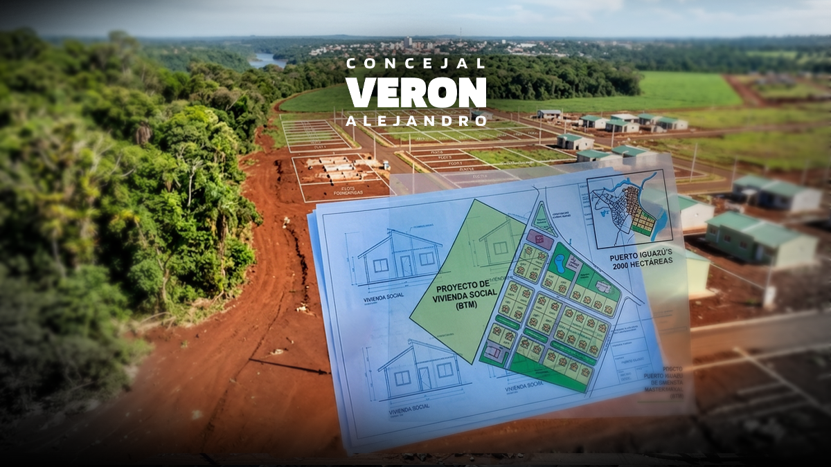 Grafico, Plan de urbanizcion/ viviendas 2000 hectareas alejandro veron, puerto iguazú