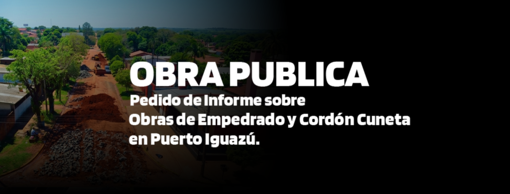 imagen aerea de obra publica puerto iguazu